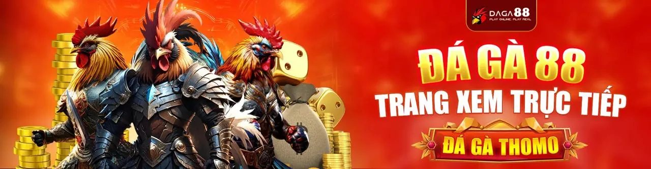 Đá gà trực tuyến XO88 với các trận đấu kịch tính và gà chiến mạnh mẽ